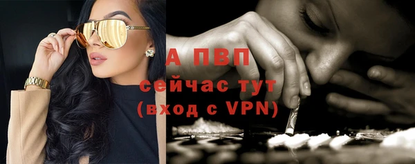 твердый Козельск