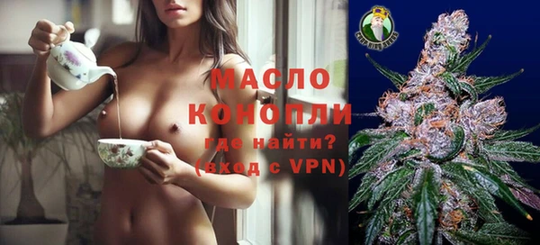 твердый Козельск