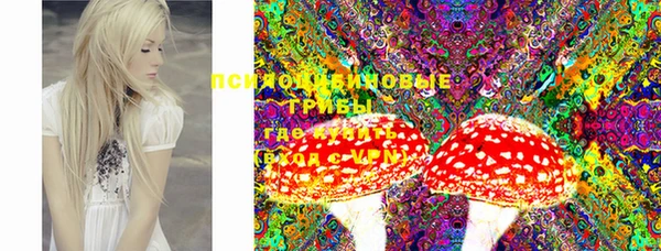 твердый Козельск