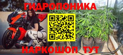 трава Моздок