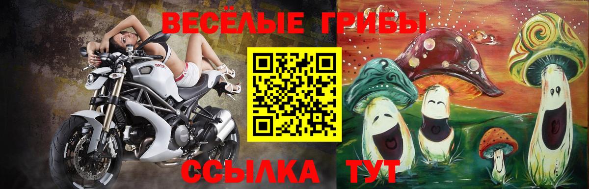 Галлюциногенные грибы ЛСД Сердобск