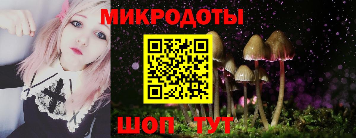 как найти закладки  Галлюциногенные грибы Psilocybine cubensis  Вход с VPN  Сердобск 